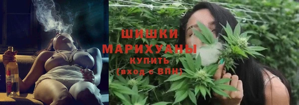 шишки Балабаново