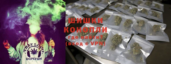 шишки Балабаново