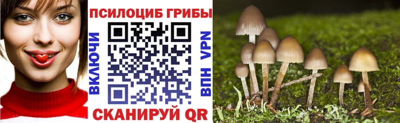 ОМГ ОМГ   Питкяранта  Галлюциногенные грибы прущие грибы 